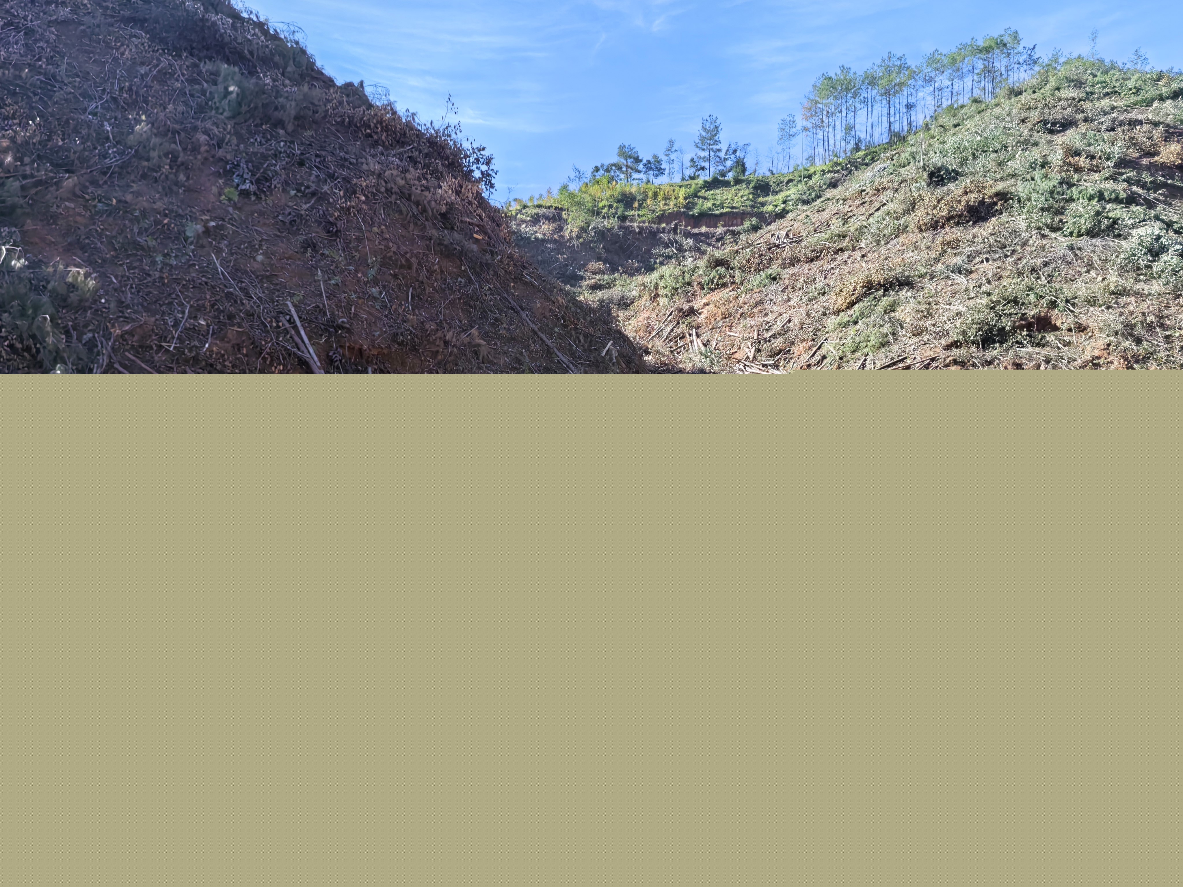 平安常青，我們在行動——常青分公司開展安全生產日活動