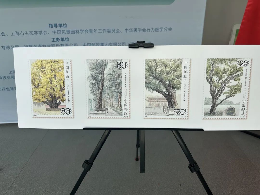 全國生態日來了！福建金森攜手舉辦上海“山海同普·杏好有你”活動